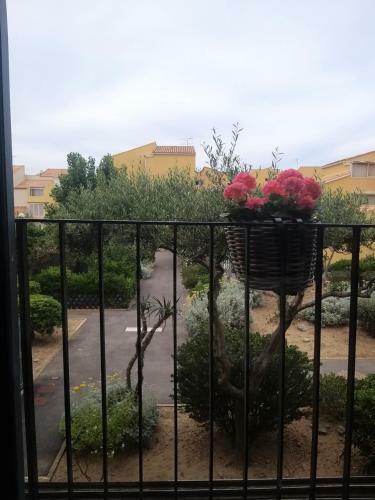 Apartamento La Mouette