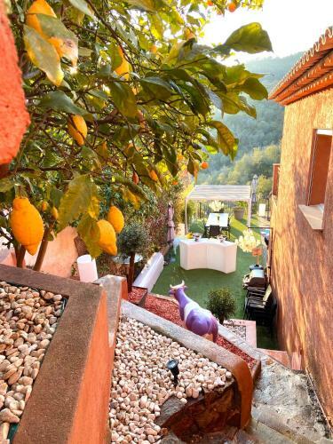 Hostal Villa Colina