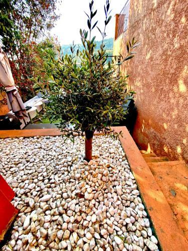 Hostal Villa Colina