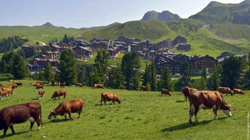 Apartamento Appart Ski A Belle Plagne