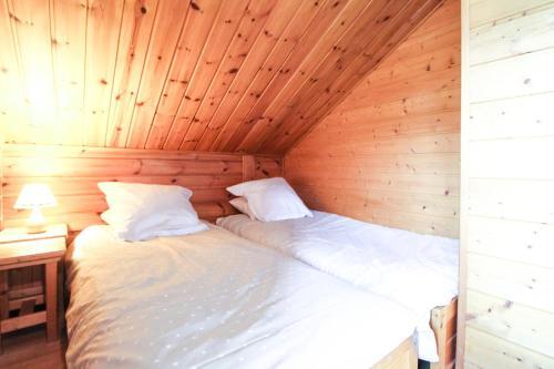 Charming 4-bedroom Ski Chalet With Terrace