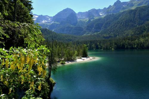 Hotel Chalet Tovel - Mountain Lake