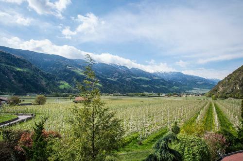 Bed & Breakfast Garni Weghueb