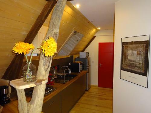 Apartamento Le Pic De Pan - Auberge & G�tes