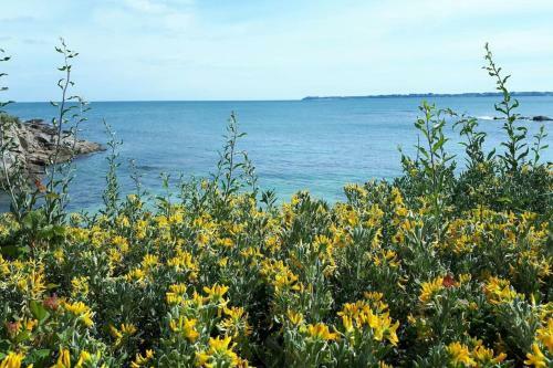Charmante Maisonnette � 2 Pas Des Plagespiscine