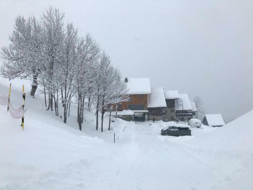Apartamento Chalet Lucie Le Cheval Noir