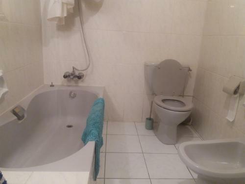 Apartamento Studio Et Jardin D'ailhon