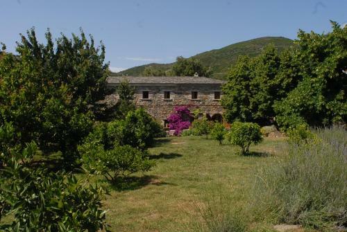 Casa-albina-corsica