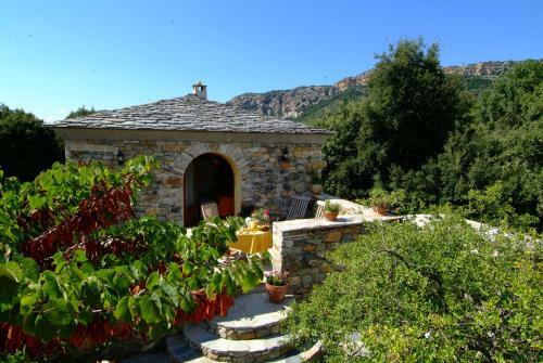 Casa-albina-corsica