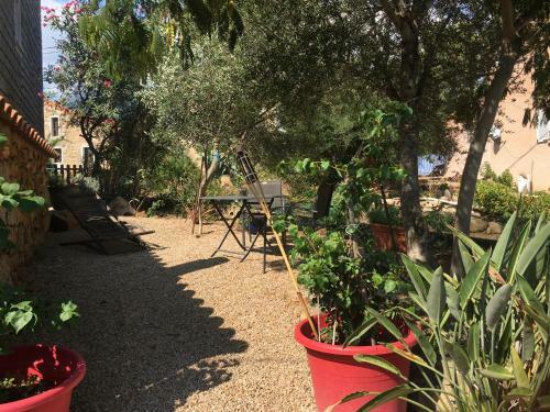 Bed & Breakfast Caseddu Di Chjarastella