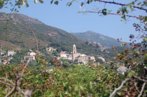 Bed & Breakfast Villa Aghjanella