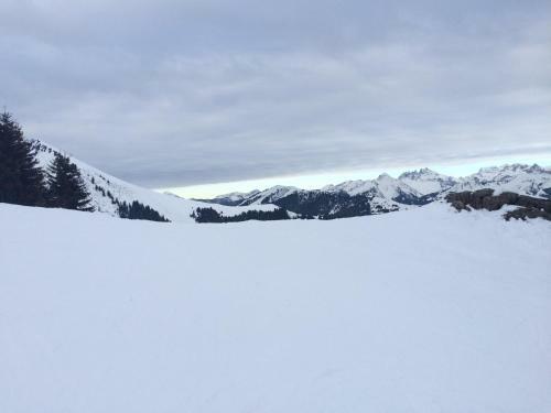 Apartamento Appartement Le Praz De Lys