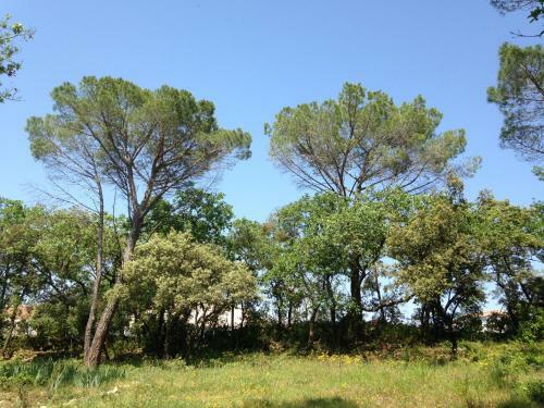 Bed & Breakfast Les Marguerites