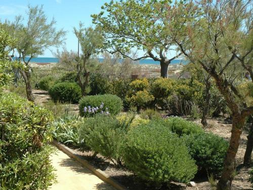 Apartamentos Le Farniente Front de Mer Wifi Jardin Parking