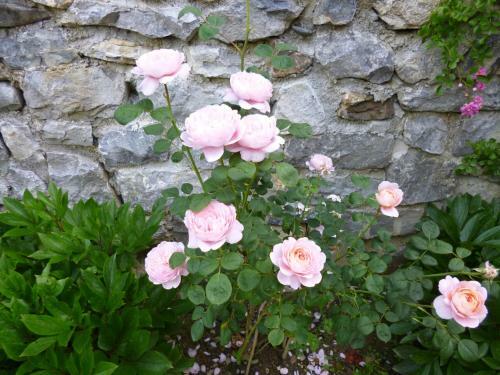 Bed & Breakfast Green Bike Pyrenees