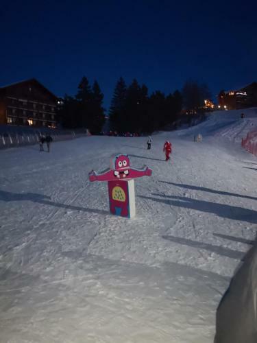 Chalet Bastilor