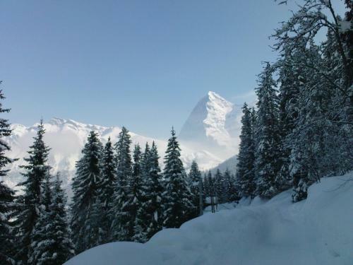 Hostal Pension Gimmelwald