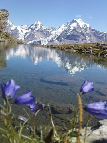 Hostal Pension Gimmelwald