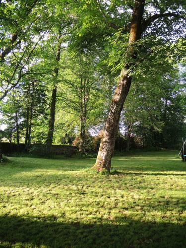 Hotel H�tel Restaurant Les Platanes