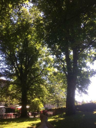 Hotel H�tel Restaurant Les Platanes