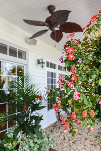 Narrow Way Bed And Breakfast