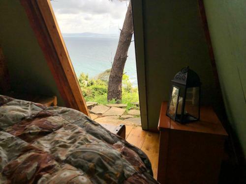 Bed & Breakfast Les Fous De Bassans