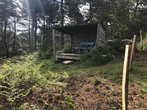 Bed & Breakfast Les Fous De Bassans