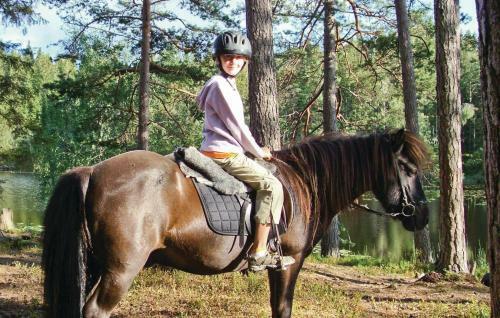 Holiday Home N�s Gislaved II