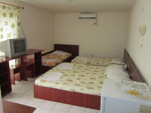 Hostal Pensiunea Ruxandra