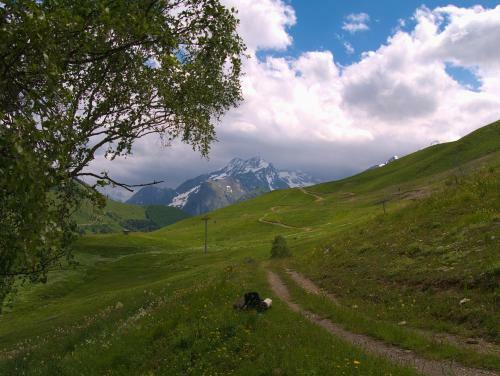 Apartamento Studio Kandahar - Les 2 Alpes