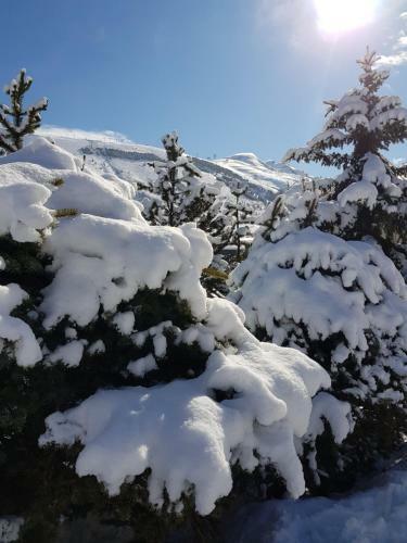 Apartamentos R�sidence : Le Crystal Chalet