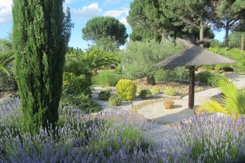 Bed & Breakfast La Palmeraie