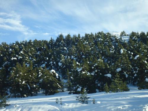 Apartment Face Aux Pistes