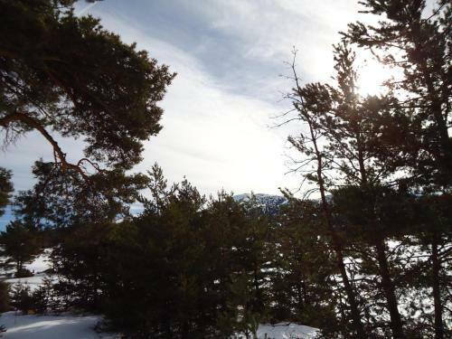 Apartment Face Aux Pistes