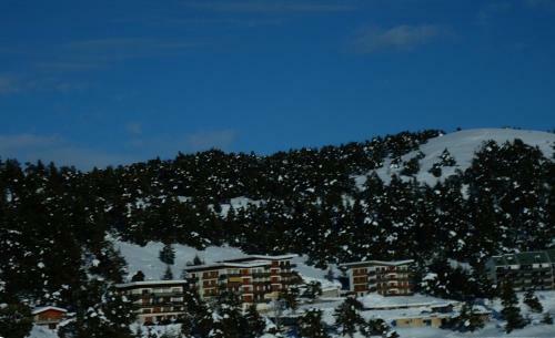 Apartment Face Aux Pistes