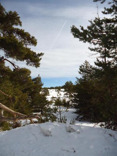 Apartment Face Aux Pistes