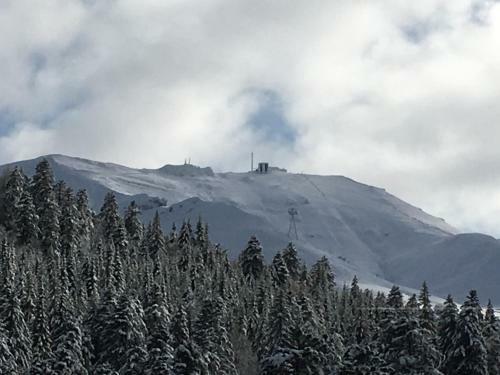 Apartamento Le Lioran Studio Les Myrtilles � 200m Des Pistes