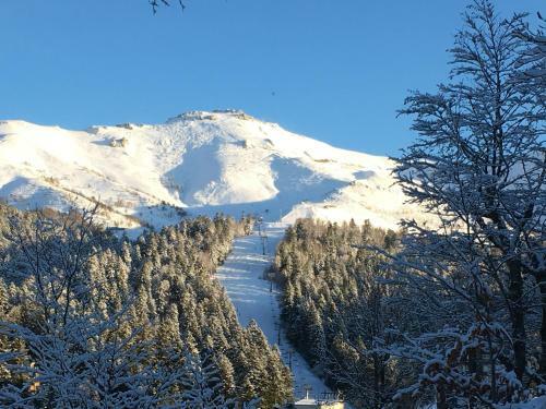 Apartamento Le Lioran Studio Les Myrtilles � 200m Des Pistes