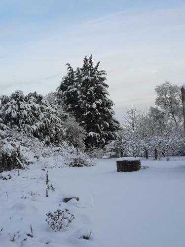 Bed & Breakfast La Grange Aux Dames