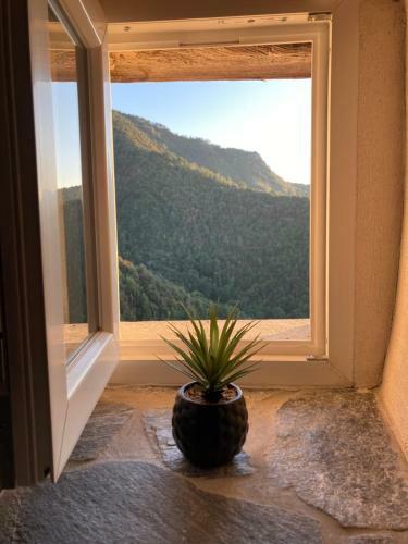 Apartamento Casa Lili