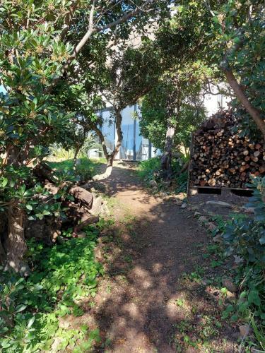 Apartamento La Terrasse Des Lauriers Sur L'�le Du Levant