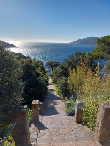 Apartamento La Terrasse Des Lauriers Sur L'�le Du Levant