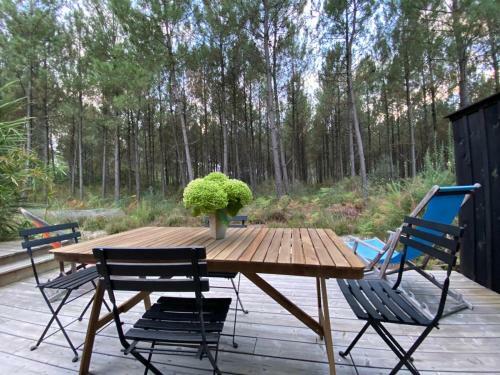 Immersion For�t Cabane Bois L�ge Cap Ferret 1-4p
