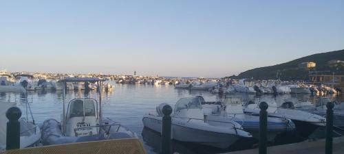 Maison Face � La Mer, Jardin, Jacuzzi 11 Personnes
