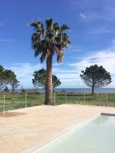 Cottage Les Pieds Dans L'eau