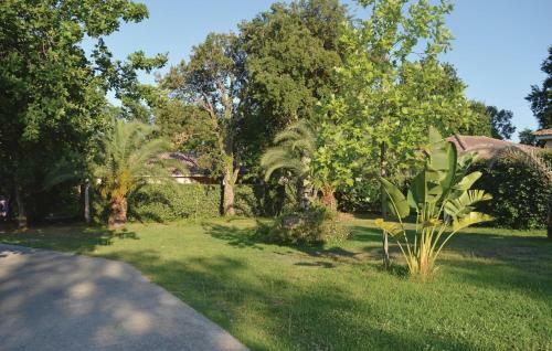 One-bedroom Apartment In Moriani Plage