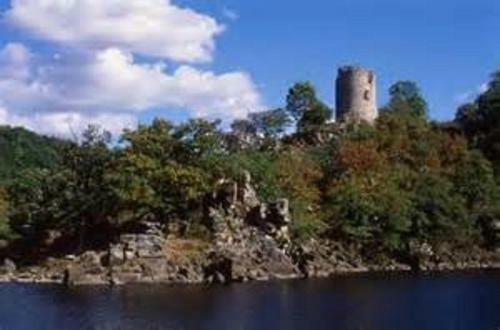 Les Foug�res Du Lac