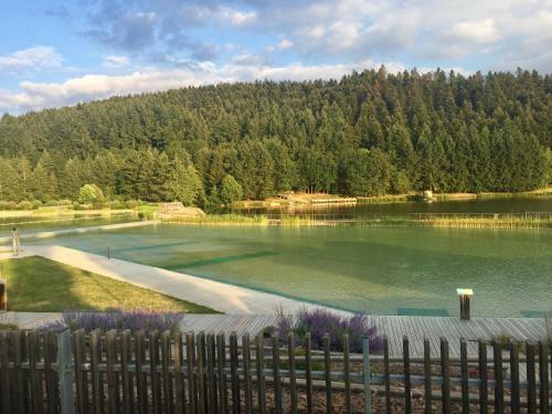 Apartamento Ch�teau De Laforest