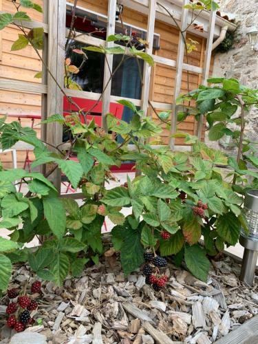 Bed & Breakfast La Basse Monniere