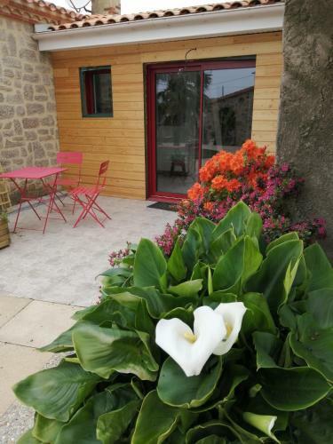 Bed & Breakfast La Basse Monniere
